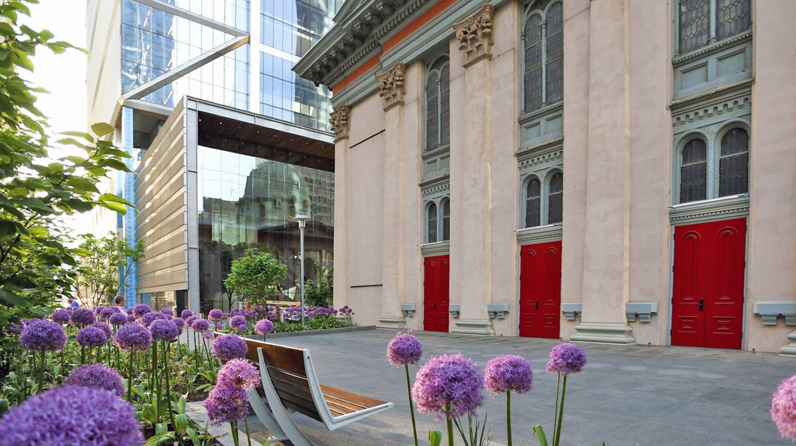 Purple allium flowers and a bench sit in front of a beige historic building with red doors, next to a modern glass structure reflecting nearby architecture.